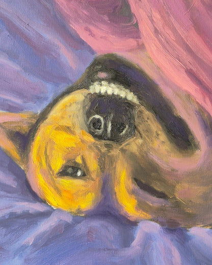 A Dog's Dream